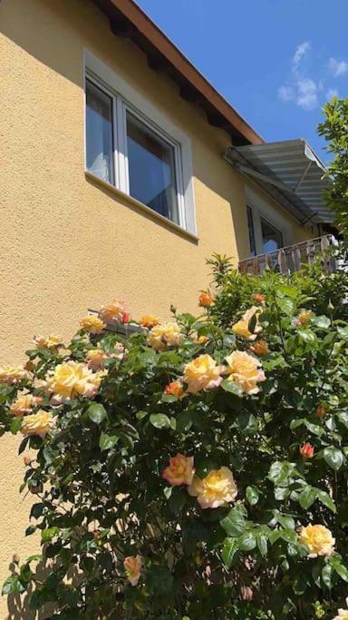 Duesseldorf Messe And Airport, 2-Bedroom Apartment With Kitchen And Garden Duisburg Buitenkant foto
