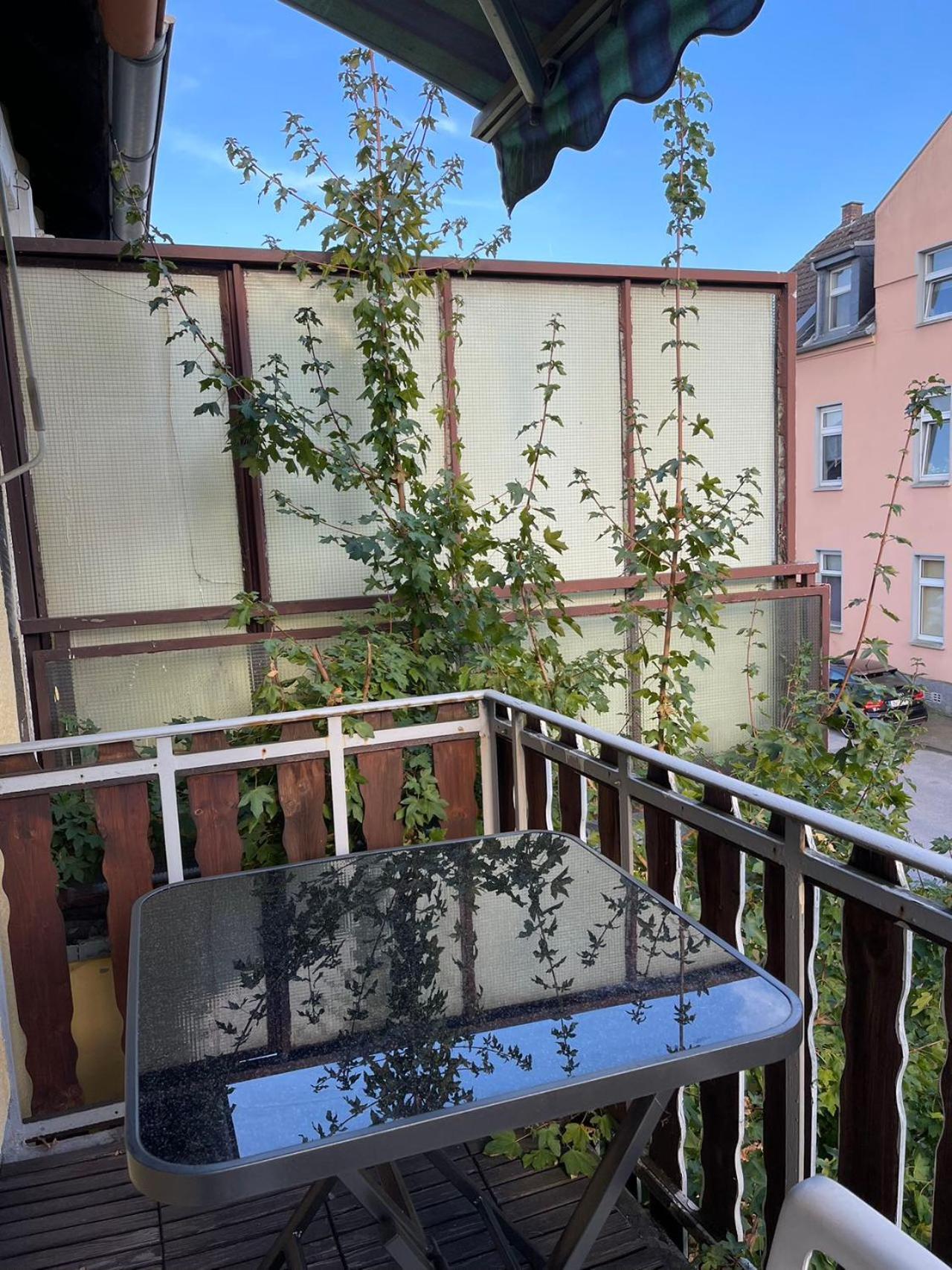 Duesseldorf Messe And Airport, 2-Bedroom Apartment With Kitchen And Garden Duisburg Buitenkant foto